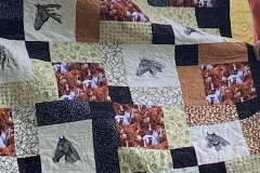 Cathy-Fs-Horse-Quilt